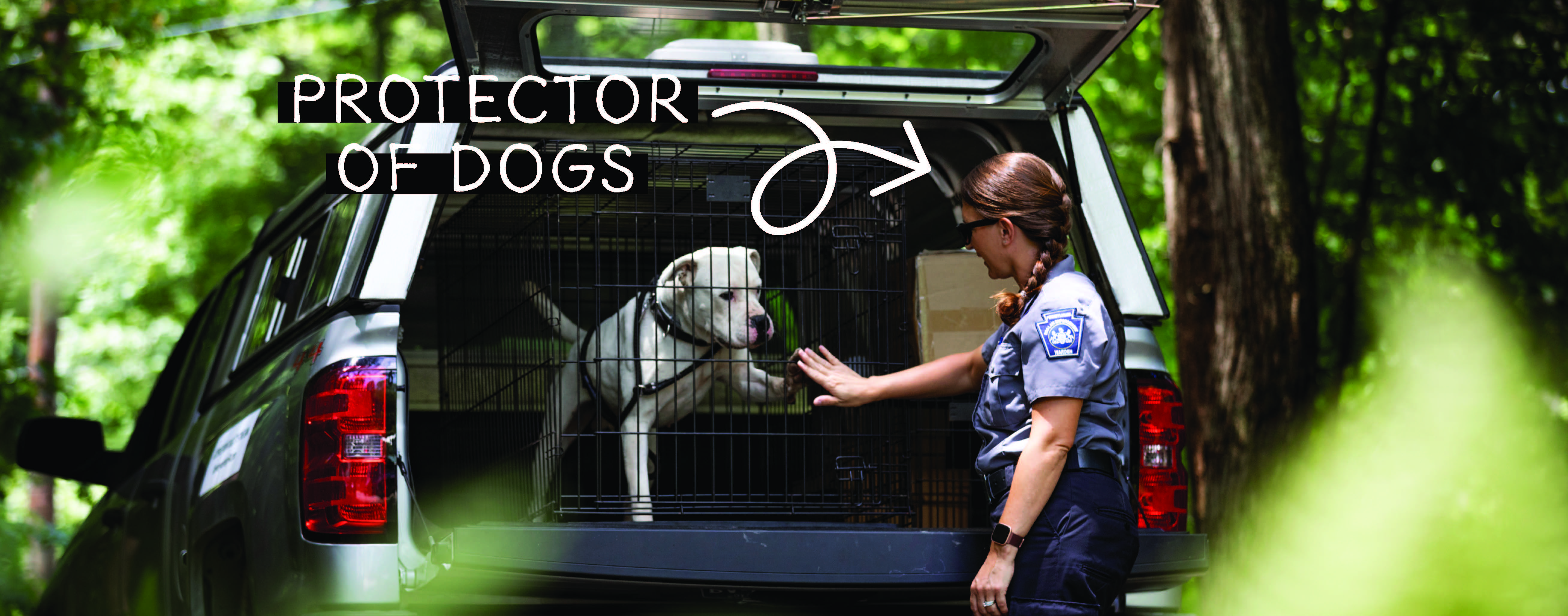 Protector of dogs, but will it last: picture of dog warden with stray dog emphasizing need to increase dog license fee