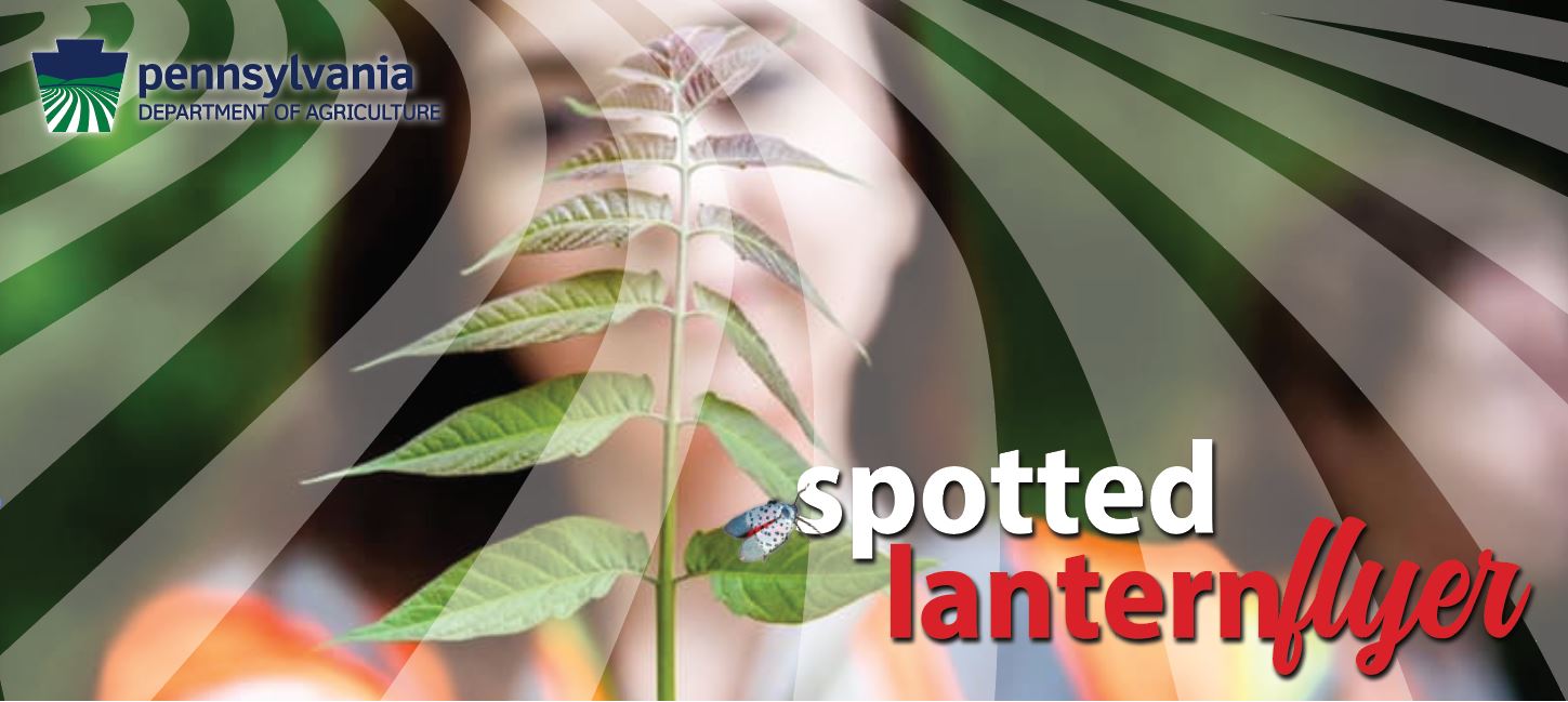 SpottedLanternflyer_Header.jfif