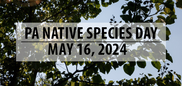 2024 Native Species Day Banner.png